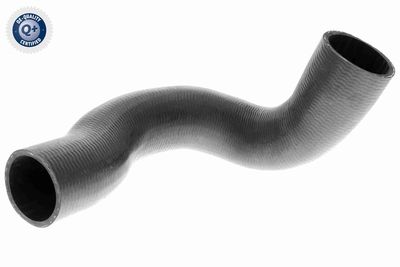 Трубка нагнетаемого воздуха VAICO V95-0352