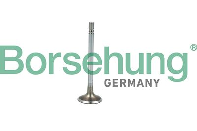 Впускной клапан BORSEHUNG B19021