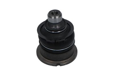 Balst-/Virzošais šarnīrs KAVO PARTS SBJ-6505