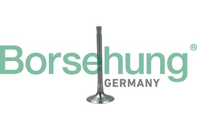 Впускной клапан BORSEHUNG B19024
