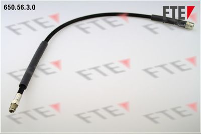 Тормозной шланг FTE 9741122