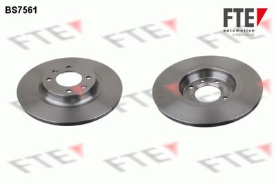 Тормозной диск FTE 9072454