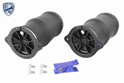 Pneimoatspere, Balstiekārta VEMO V30-50-20024