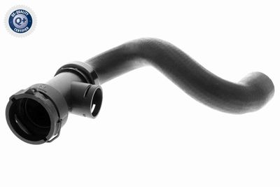 Шланг радиатора VAICO V10-3196