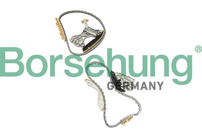 Комплект цели привода распредвала BORSEHUNG B18845