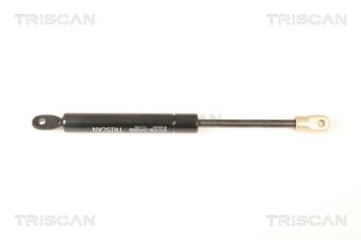 Gāzes atspere, Bagāžas/Kravas nodalījuma vāks TRISCAN 871020202