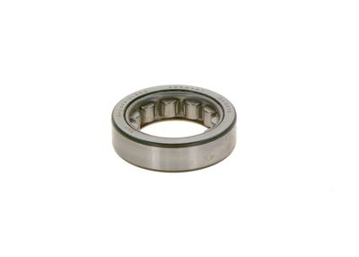 Подшипник BOSCH 1900910113