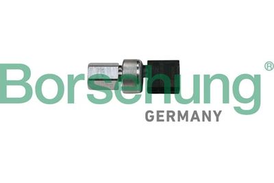 Пневматический выключатель, кондиционер BORSEHUNG B18534
