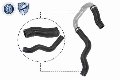 Pūtes sistēmas gaisa caurule VAICO V24-0731