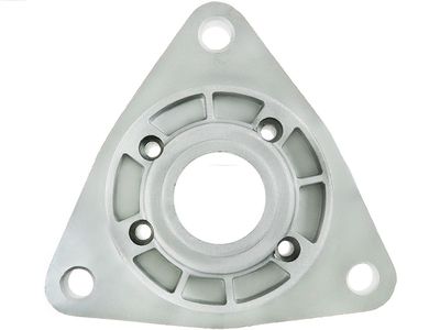 Крышка стартера, карбюратор AS-PL SBR9067S