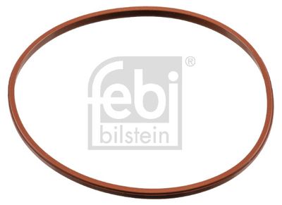 Blīvgredzens, droseļvārsta īscaurule FEBI BILSTEIN 180016