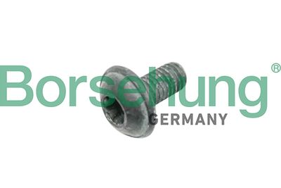 Болт, диск тормозного механизма Borsehung B10635