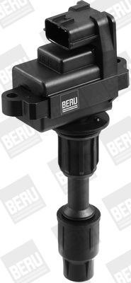 Aizdedzes spole BorgWarner (BERU) ZSE074