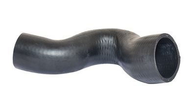 Pūtes sistēmas gaisa caurule BUGIAD 85636