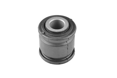 Piekare, Šķērssvira TEDGUM 00673736