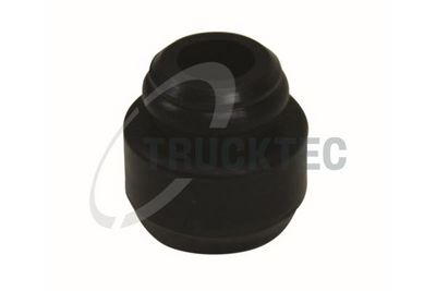 Kronšteins, Iesmidzinašanas sprausla TRUCKTEC AUTOMOTIVE 02.13.041