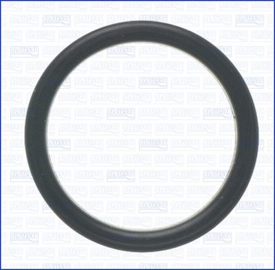 Blīve, Ūdenssūknis AJUSA 01495000