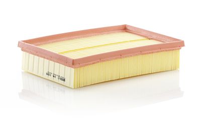 Воздушный фильтр MANN-FILTER C 24 028