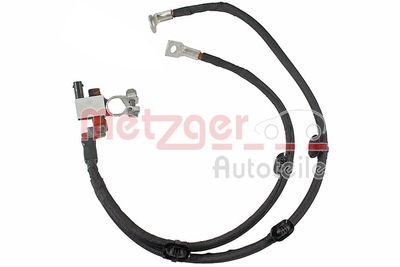 Devējs, Akumulatoru baterijas vadība METZGER 0901559