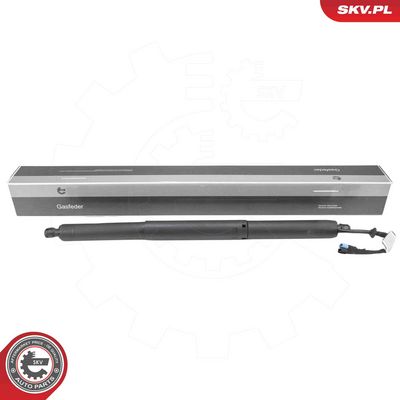 Электромотор, задняя дверь ESEN SKV 52SKV232