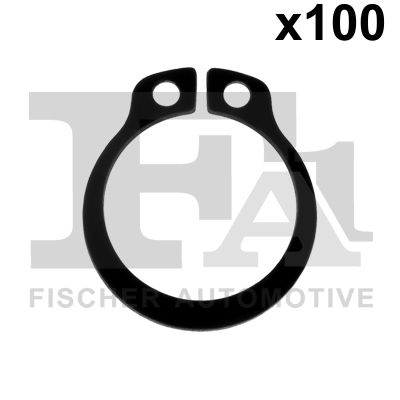 Уплотнительное кольцо FA1 524.870.100