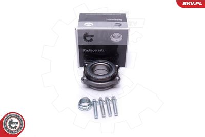 Комплект подшипника ступицы колеса ESEN SKV 29SKV542
