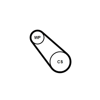 Ūdenssūknis + ķīļrievu siksnas komplekts CONTINENTAL CTAM 3PK725 ELAST WP1