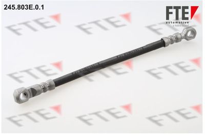 Тормозной шланг FTE 9741087