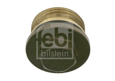 Болт, колпак колеса FEBI BILSTEIN 22529