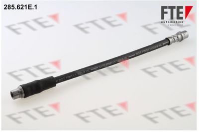 Тормозной шланг FTE 9240135