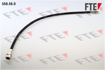 Тормозной шланг FTE 9741054