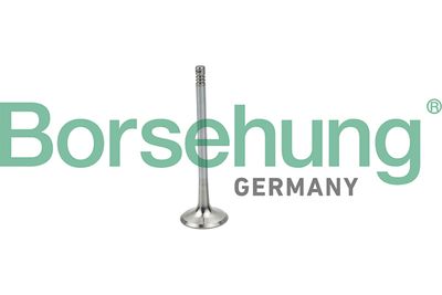 Впускной клапан BORSEHUNG B19025