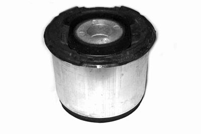 Piekare, Tilta sija VAICO V10-6077