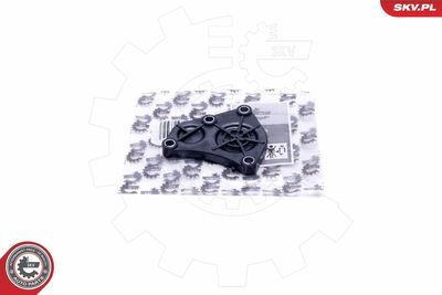 Крышка, распределительный вал ESEN SKV 96SKV215