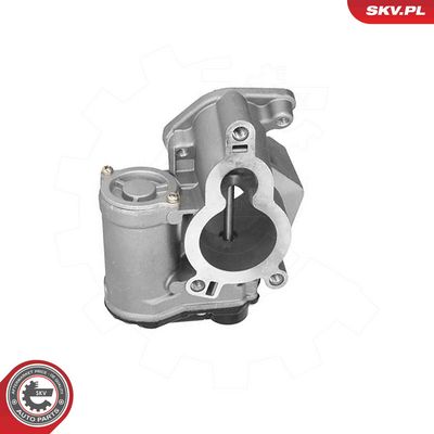 Клапан возврата ОГ ESEN SKV 14SKV317