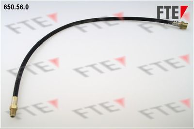 Тормозной шланг FTE 9741065