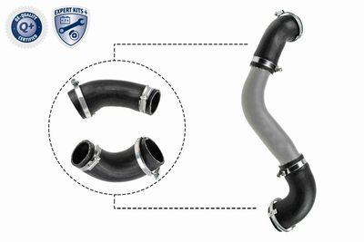 Трубка нагнетаемого воздуха VAICO V251921