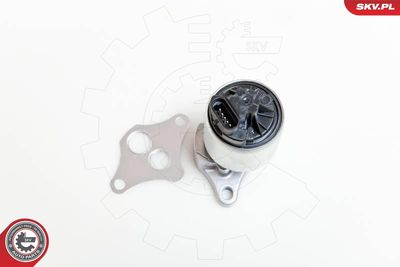 Клапан возврата ОГ ESEN SKV 14SKV037