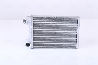 Siltummainis, Salona apsilde NISSENS 71445