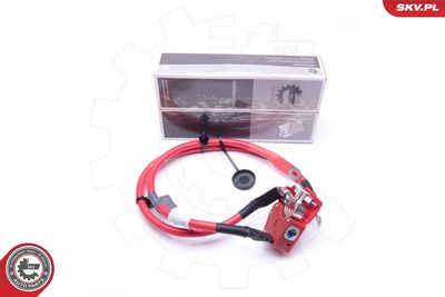 Akumulatoru baterijas adapteris ESEN SKV 96SKV307