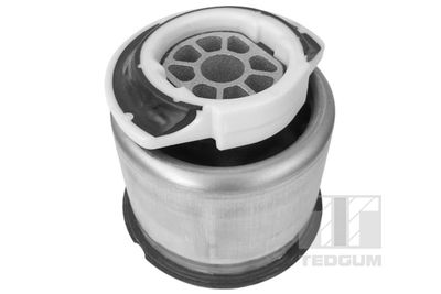 Piekare, Tilta sija TEDGUM 00146849