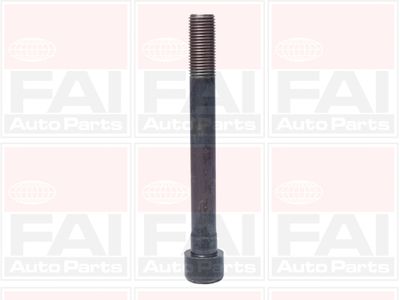 Cilindru galvas skrūvju komplekts FAI AutoParts B1046