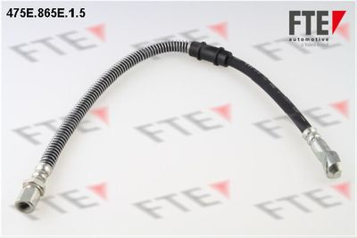 Тормозной шланг FTE 9240680