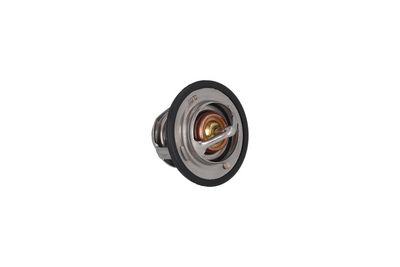 Termostats, Dzesēšanas šķidrums KAMOKA 7710156