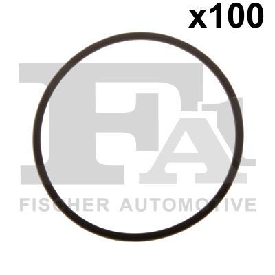 Уплотнительное кольцо FA1 076.198.100