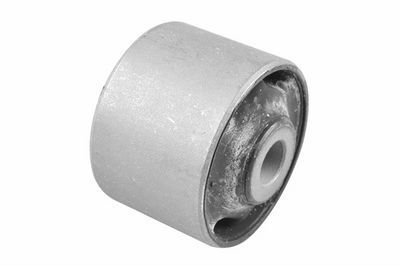 Piekare, Šķērssvira TEDGUM TED99988