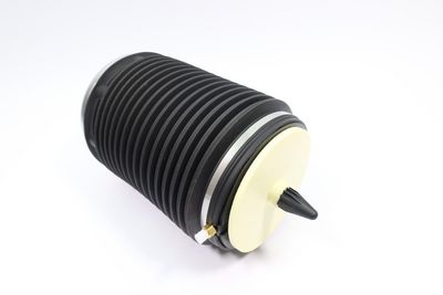 Пневматическая рессора, ходовая часть MONROE ASP018