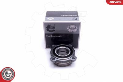 Комплект подшипника ступицы колеса ESEN SKV 29SKV441