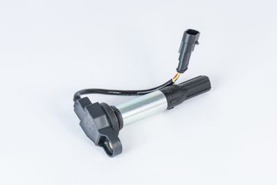 Aizdedzes spole BorgWarner (BERU) ZSE257