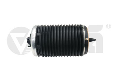Pneimoatspere, Balstiekārta vika 56160000901